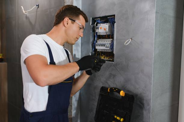 Best Electric Panel Repair  in Mandeville, LA